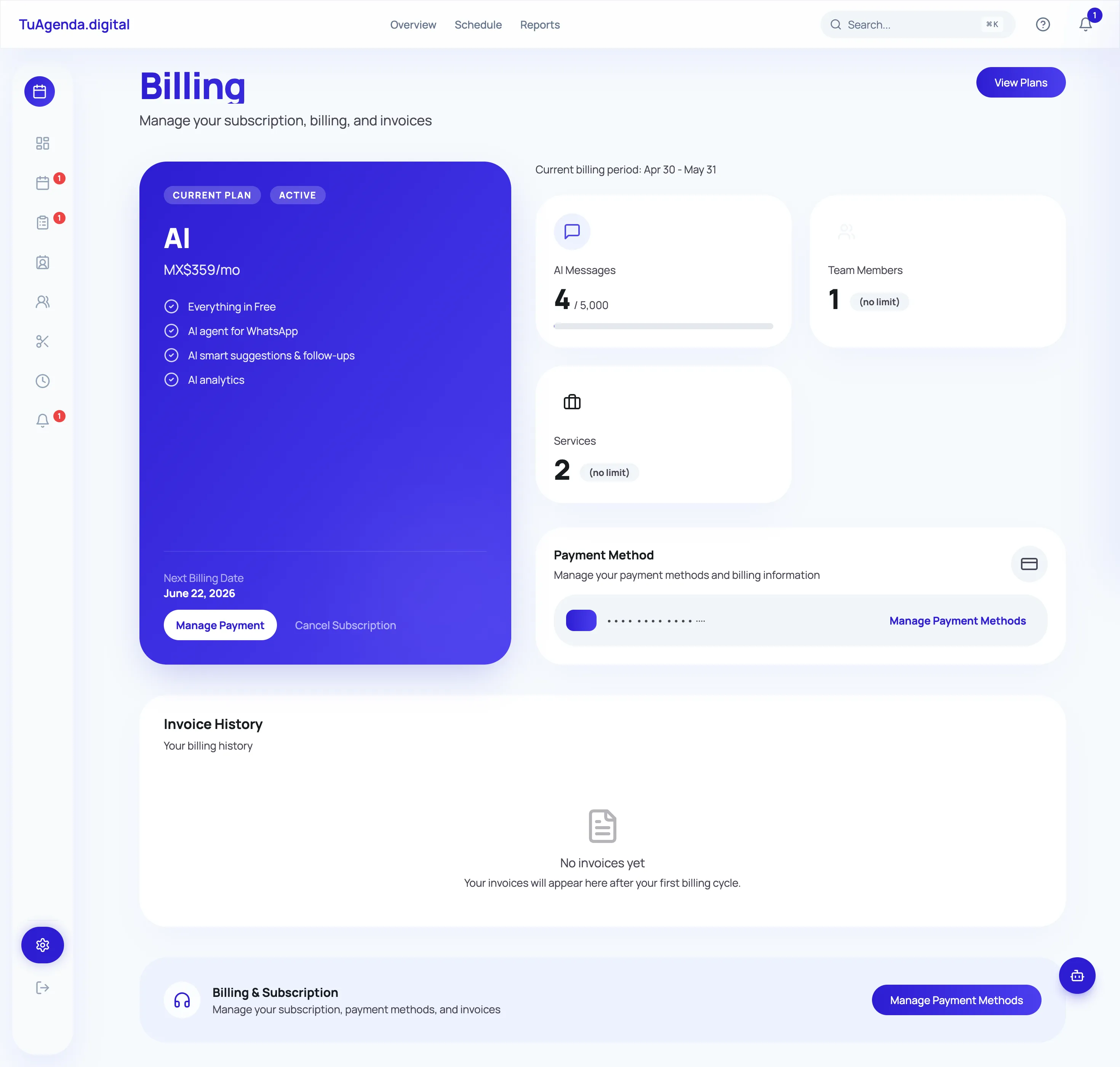 Panel de billing mostrando plan AI activo con métricas de uso y métodos de pago
